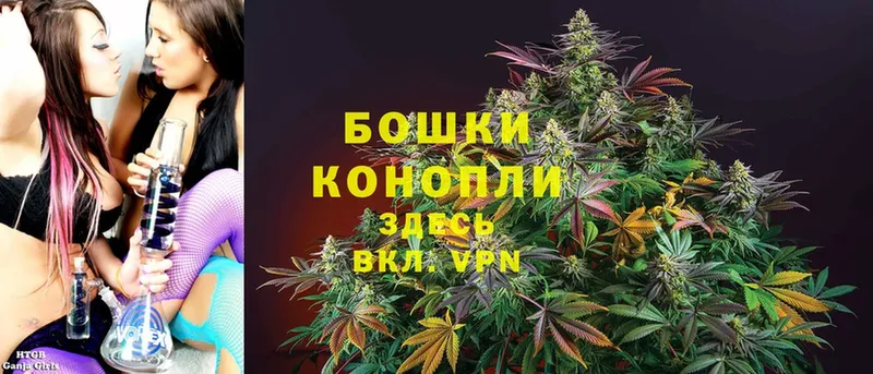 Бошки Шишки White Widow  цены   Мурино 